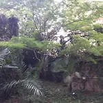 Le Palme