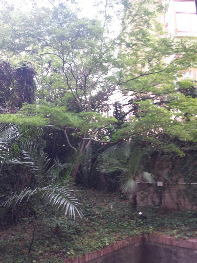 Le Palme Appartamento